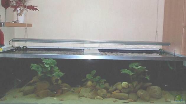 Zum Beispiel Becken 1832