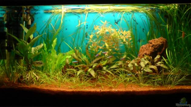 Zum Beispiel Becken 1841