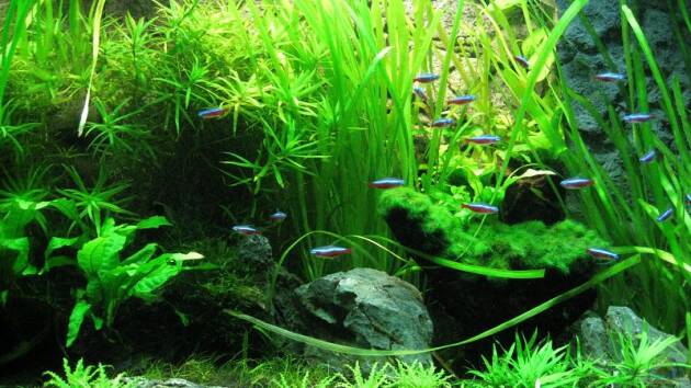 Zum Beispiel Becken 18621