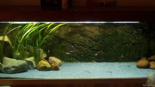 Zum Beispiel Becken 18802