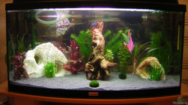 Zum Beispiel Becken 1892