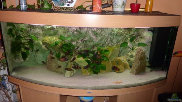 Zum Beispiel Becken 1903