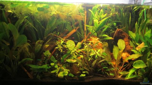 Zum Beispiel 126l Südamerika