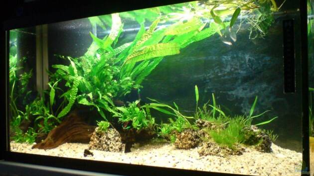 Zum Beispiel Das Südostasienbecken