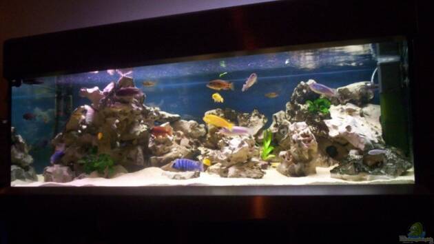 Zum Beispiel Becken 1932