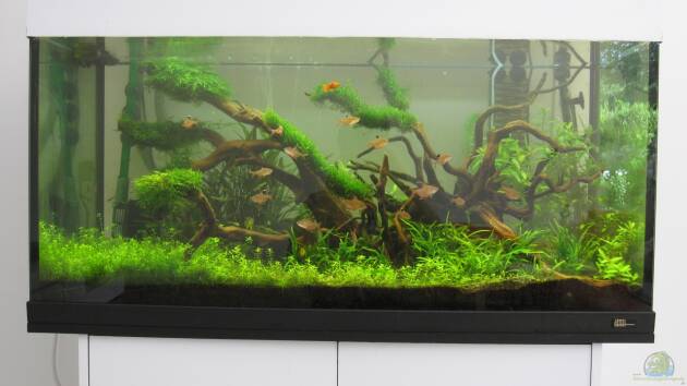 Zum Beispiel Erster Versuch, nun nicht mehr