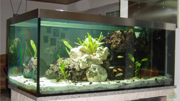 Zum Beispiel Becken 2031