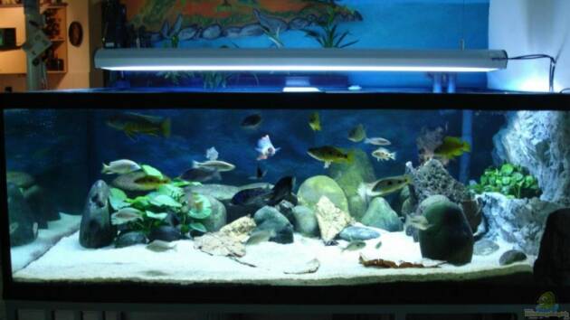 Zum Beispiel Becken 2054