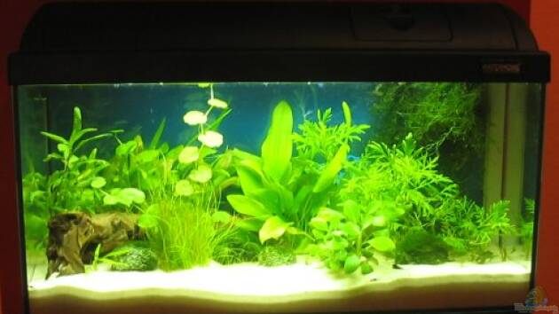 Zum Beispiel Becken 2066