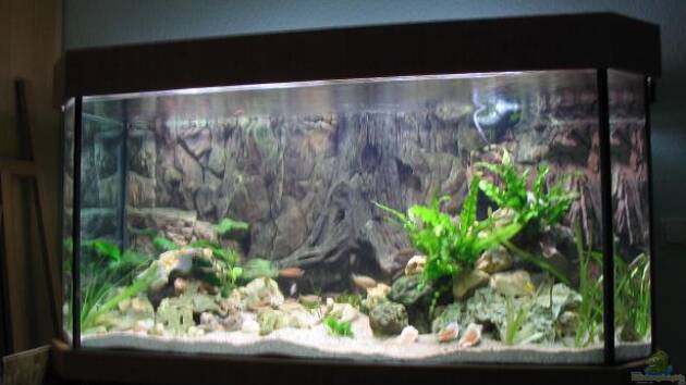 Zum Beispiel Becken 2090