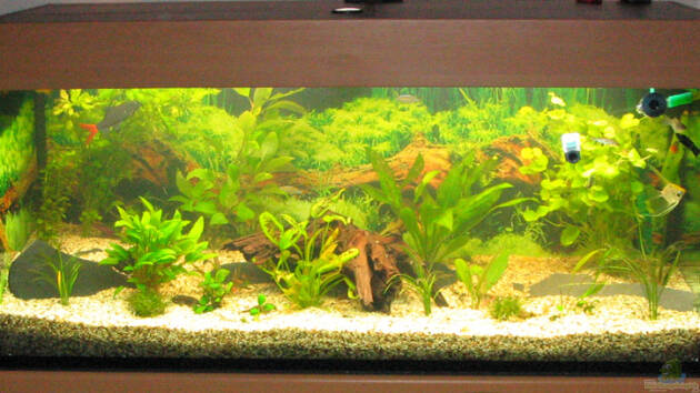 Zum Beispiel Becken 2122