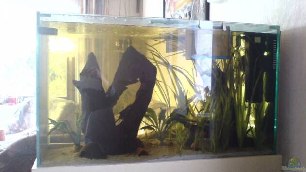 Zum Beispiel Becken 2176