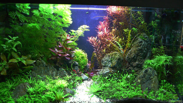 Zum Beispiel Crystal Rock