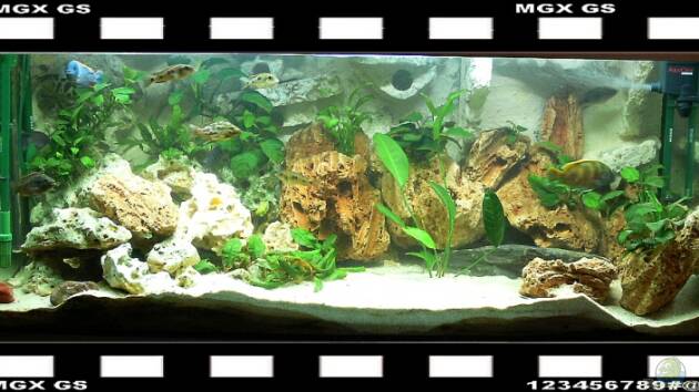 Zum Beispiel Becken 2211