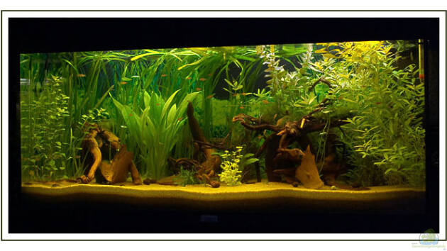 Zum Beispiel Becken 2222