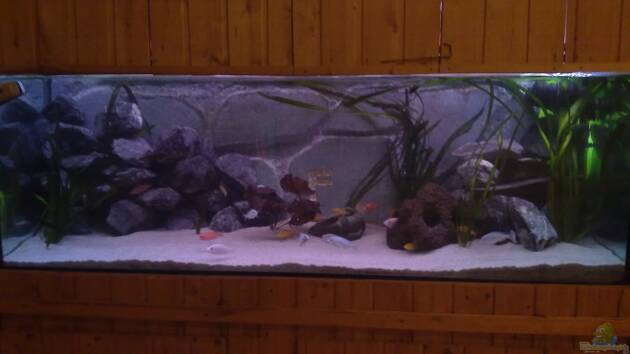 Zum Beispiel Becken 22286