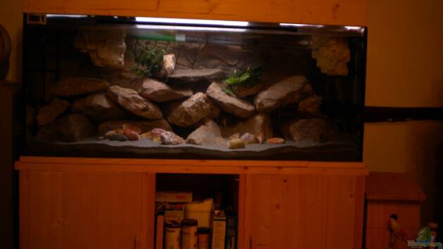 Zum Beispiel Labido´s Tank