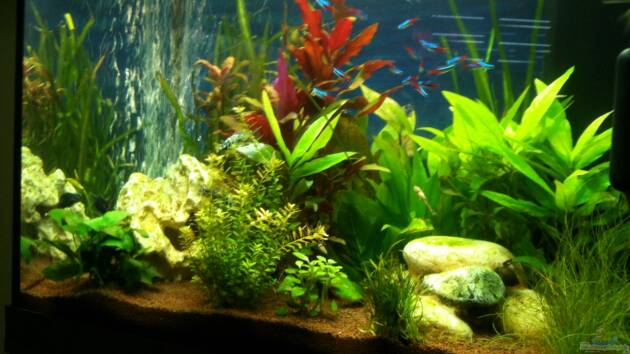 Zum Beispiel Becken 22703