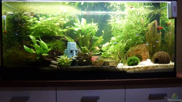 Zum Beispiel Natureland