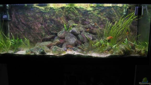 Zum Beispiel Becken 2303