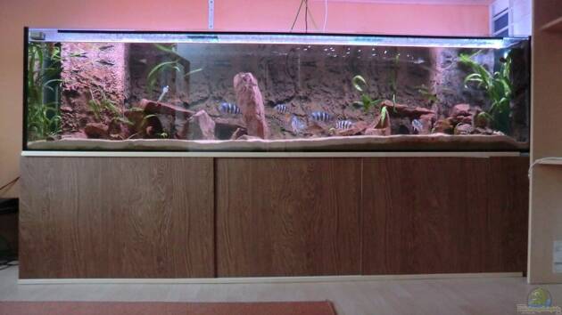 Zum Beispiel Ein kleines Stück Tanganjikasee