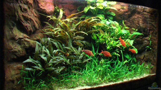 Zum Beispiel Becken 2316