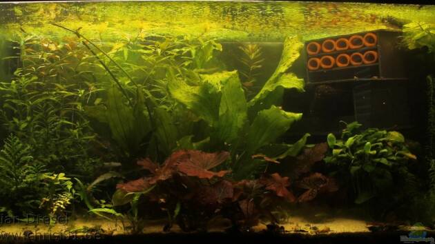 Zum Beispiel 250l im Schlafzimmer