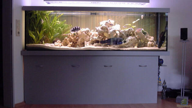 Zum Beispiel Becken 234