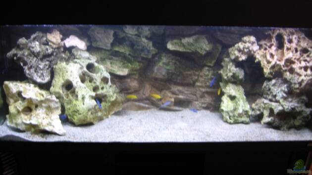 Zum Beispiel Becken 2351