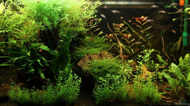 Zum Beispiel Becken 23904