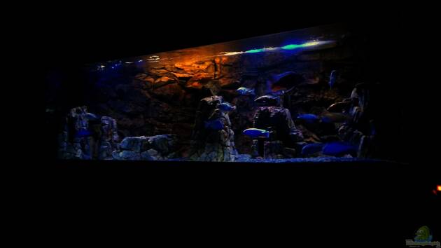 Zum Beispiel Käddel´Rock