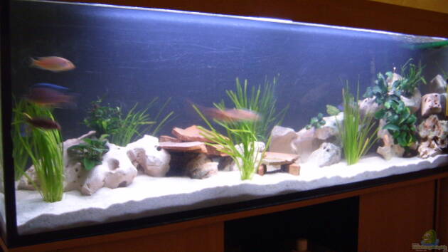 Zum Beispiel Becken 2422