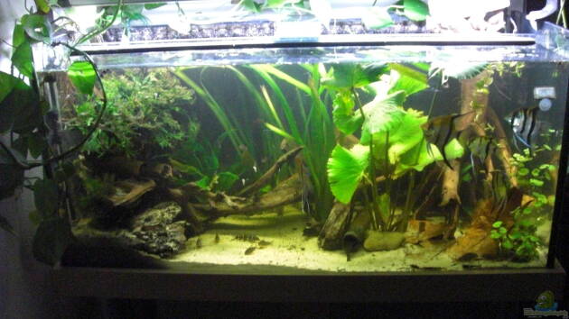 Zum Beispiel Mein Großes