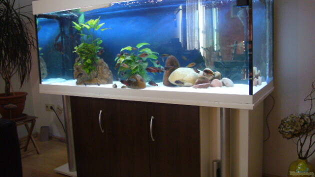 Zum Beispiel Becken 2517