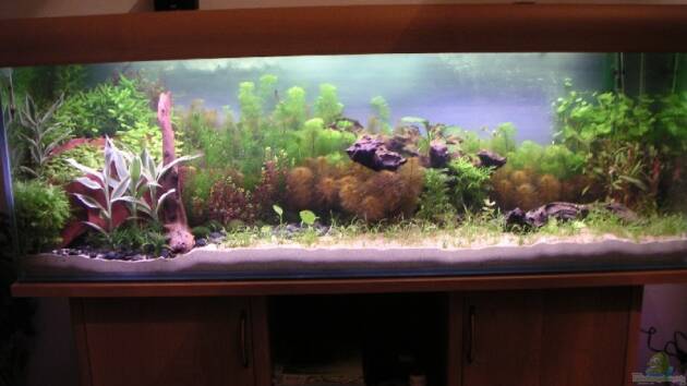 Zum Beispiel Becken 2523