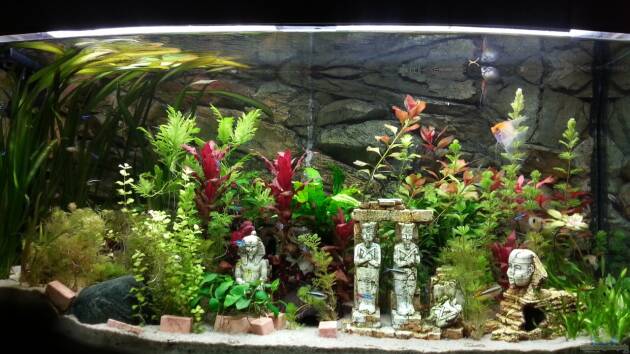 Zum Beispiel Tal der Könige