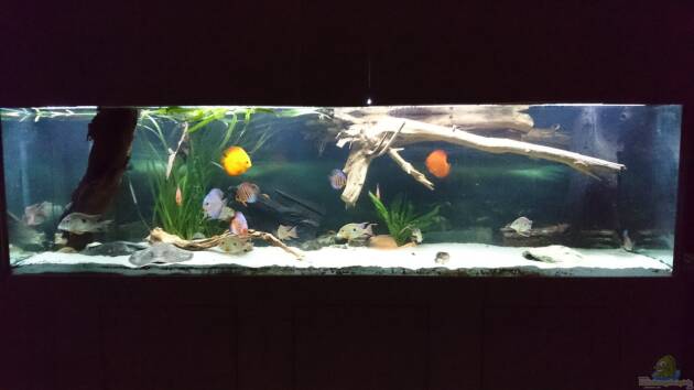 Zum Beispiel Amazonas XL