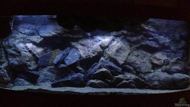 Zum Beispiel Vision Malawi (Nur noch Beispiel)