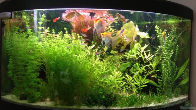 Zum Beispiel Venezia 350