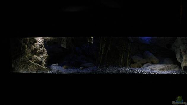 Zum Beispiel ..tales from the lake..aufgelöst