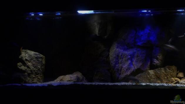 Zum Beispiel Becken 26661 aufgelöst