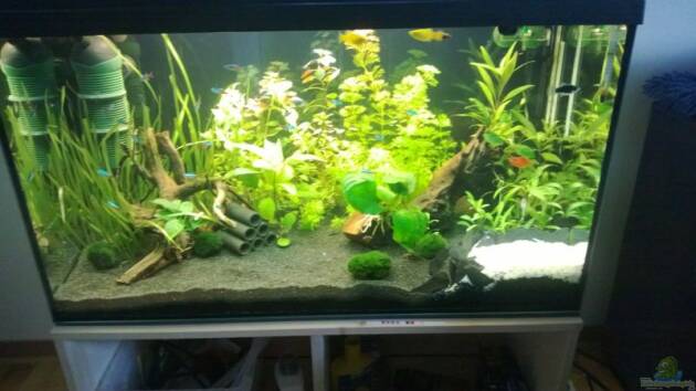 Zum Beispiel Unser 1. Becken