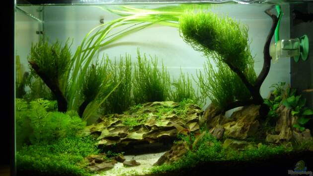 Zum Beispiel Fels in der Brandung (besteht so nicht mehr)