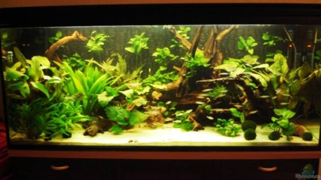 Zum Beispiel Becken 269