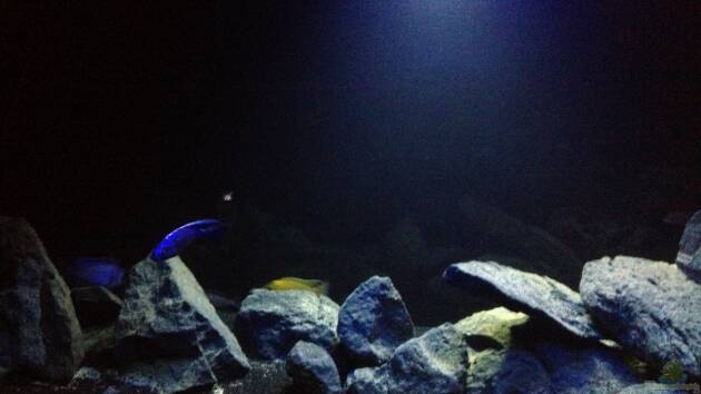 Zum Beispiel Malawi (nur noch als Beispiel)