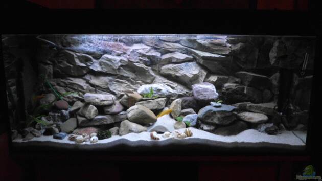 Zum Beispiel Becken 27195