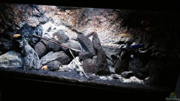 Zum Beispiel stone bay area (closed due!!!)