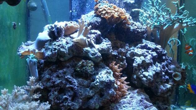 Zum Beispiel Becken 27697