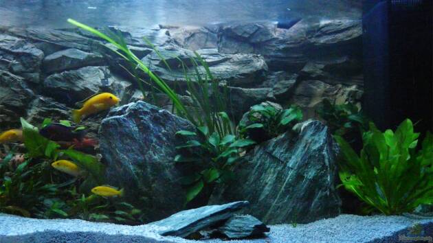 Zum Beispiel Chrisly on Malawi