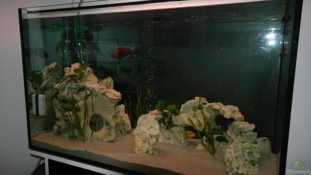 Zum Beispiel Malawi Becken